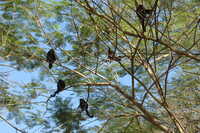 2007-12-10 10.46.46.JPG 